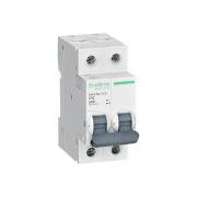 Автомат 2П 10А, С 4,5кА City9 Schneider Electric