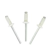 Заклепка 4,0*10 алюм,/сталь SRC сигнально белый (RAL 9003)  (50шт/уп)