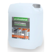 Грунтовка укрепляющая для нар. и вн. работ с антисептиком PG102 ( 5л) ТМ "Professional"