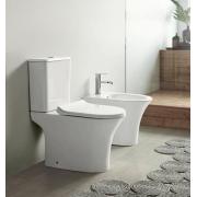 Унитаз напольный безободковый Rimini с быстросъемным сиденьем микролифт VT30804H