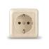 Розетка "Олимп"1ОП с/з Сосна UNIVersal