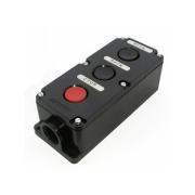 Пост кнопочный ПКЕ 222/3 IP54