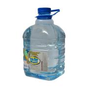 Уайт-спирит 5л МОЖГА