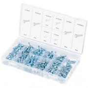 Набор саморезов: 4 х 12,5, 4 х 16, 4 х 19, 4 х 25,5, 5 х 12,5,5 х 16,5 х 19,5 х 25,5 мм, 200 предметов Сибртех