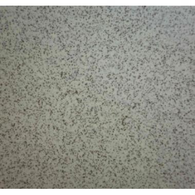 Плитка керамогранит 300х300, СТ310, св.коричн., 1,56 кг/шт., (17 шт/кор.), (1,53м2/кор.) РАСПРОДАЖА