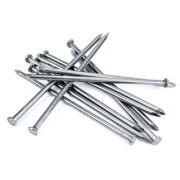 Гвозди 2,5*60 строительные (25 кг. - коробка) (1200 кг/паллета)